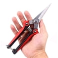 thumbnail image 1 of Straight Pruner, Florist Scissors, Multi-Task Garden Shears for Arranging Flowers, Trimming Plants and Harvesting Herbs, Fruits or Vegetables, 1 Pack, 1 of 5