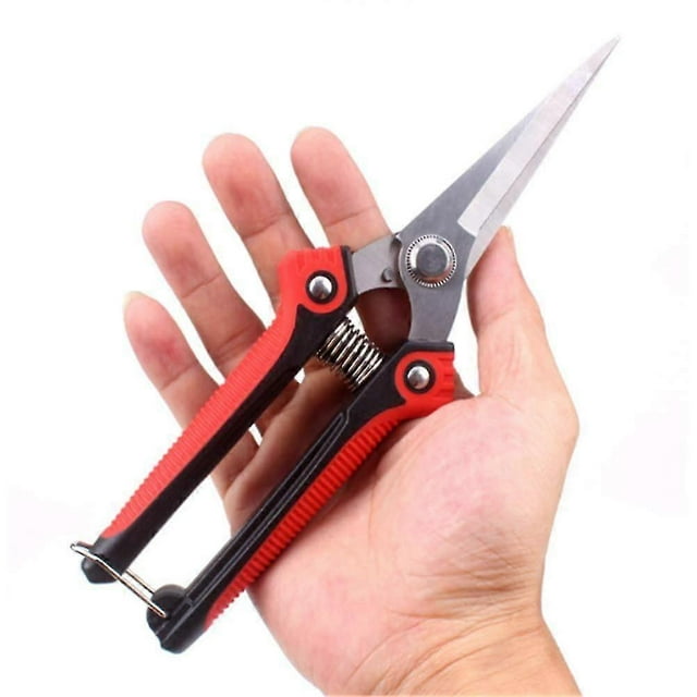 Straight Pruner, Florist Scissors, Multi-Task Garden Shears for Arranging Flowers, Trimming Plants and Harvesting Herbs, Fruits or Vegetables, 1 Pack