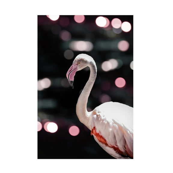 Trademark Fine Art Shot by Clint Disco Flamingo Canvas Wall Art