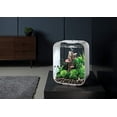 thumbnail image 3 of Boule de Bonsaï Noire, 3 of 7