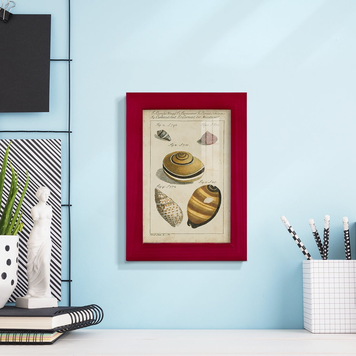 Vintage Shell Study IV -Framed Print w/glass-Cherry Red