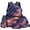 Cosmic Galaxy Starry USA Flag, variant on Yspwyqan Distressed USA Flag 4Pcs Kids Backpack Set with Lunch Box Pencil Case, Largemouth Bass Lightweight Large Capacity Bookbag for Elementary Middle School Travel
