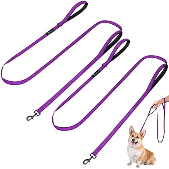 Eryueer Dog Leash for Small to Medium Dogs 6 ft x 0.6" with 3 Reflective Stitching and 2 Traffic Padded Handles Dog Lead/Rope, Pet Leash for Running Walking Training (Purple 2 Pack)