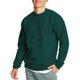 thumbnail image 1 of Sudadera Hanes EcoSmart para hombre Deep Forest Talla 2XL, 1 of 5