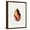 Brown Frame, variant on Art.com Watercolor Autumn Leaf I Stretched Canvas Print Wall Art by Jennifer Parker, 12" x 16"