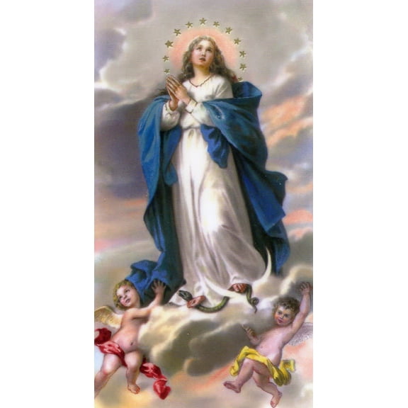 Prayer for Our Country N holy card - laminated - Pack of 25