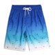 thumbnail image 1 of Puntoco Pantalones Cortos Hawaianos Para Hombre, Cintura Elástica, Bolsillos Con Cordón Ajustados De Playa, Gradiente De Araña, Talla Europea Xxxl, 1 of 7