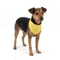 thumbnail image 1 of One Paw, Fun Print Dog Lemon Bandana , Light Weight, Multiple Sizes, Yellow, for Dogs, 1 of 7