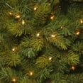 thumbnail image 3 of National Tree Company 7.5 ft. PowerConnect Plymouth Spruce Tree with Clear Lights, 3 of 3