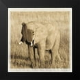 thumbnail image 2 of Parker, Susann 15x15 Black Modern Framed Museum Art Print Titled - Young Africa Elephant, 2 of 5