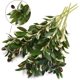 thumbnail image 4 of Paquete de 5 ramas de olivo, plantas artificiales, tallos verdes, hojas de olivo, frutas falsas, plantas de seda JFHHH pequeña, 4 of 5