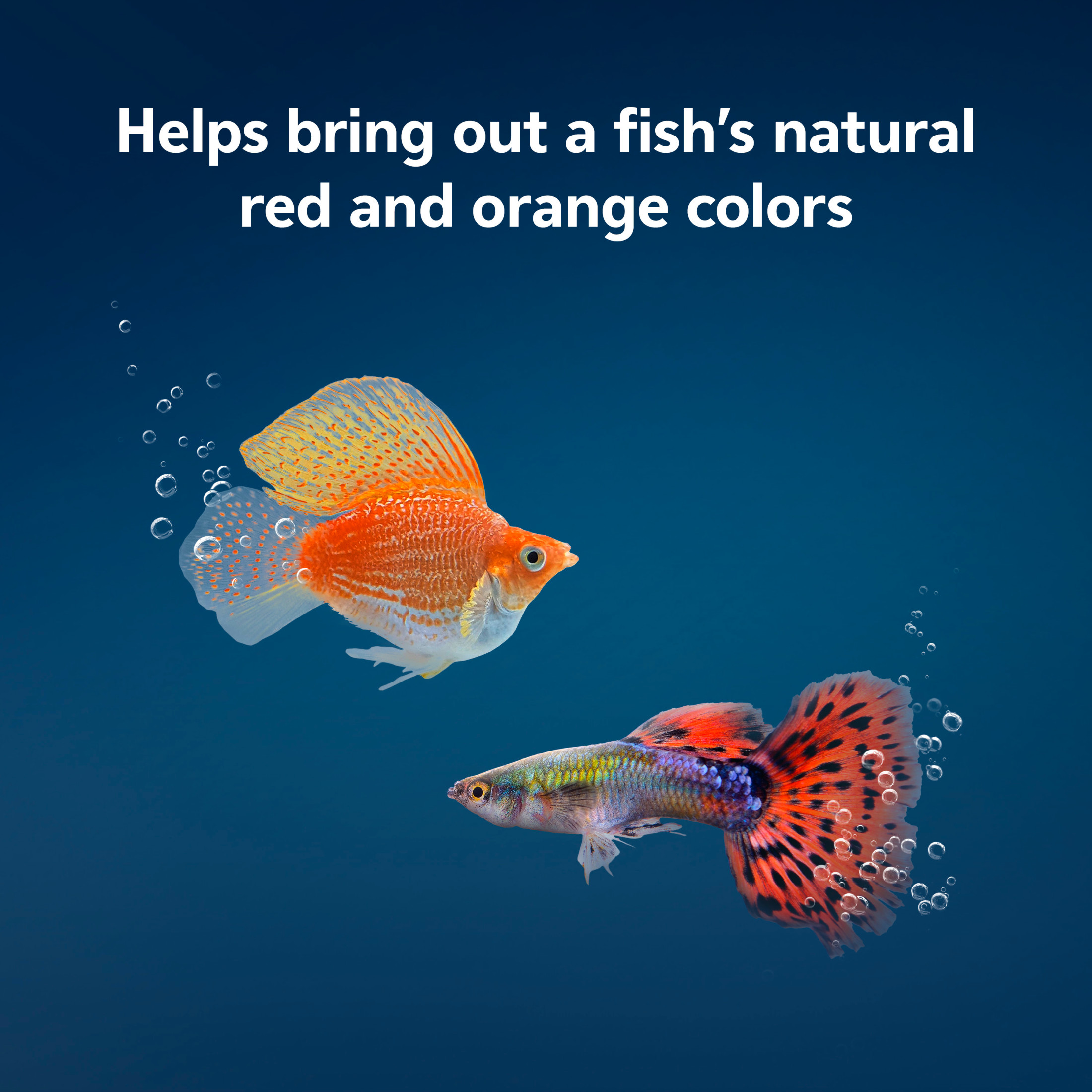 Aqueon Tropical Color Flakes Fish Food, 2.75 Ounces photo 3