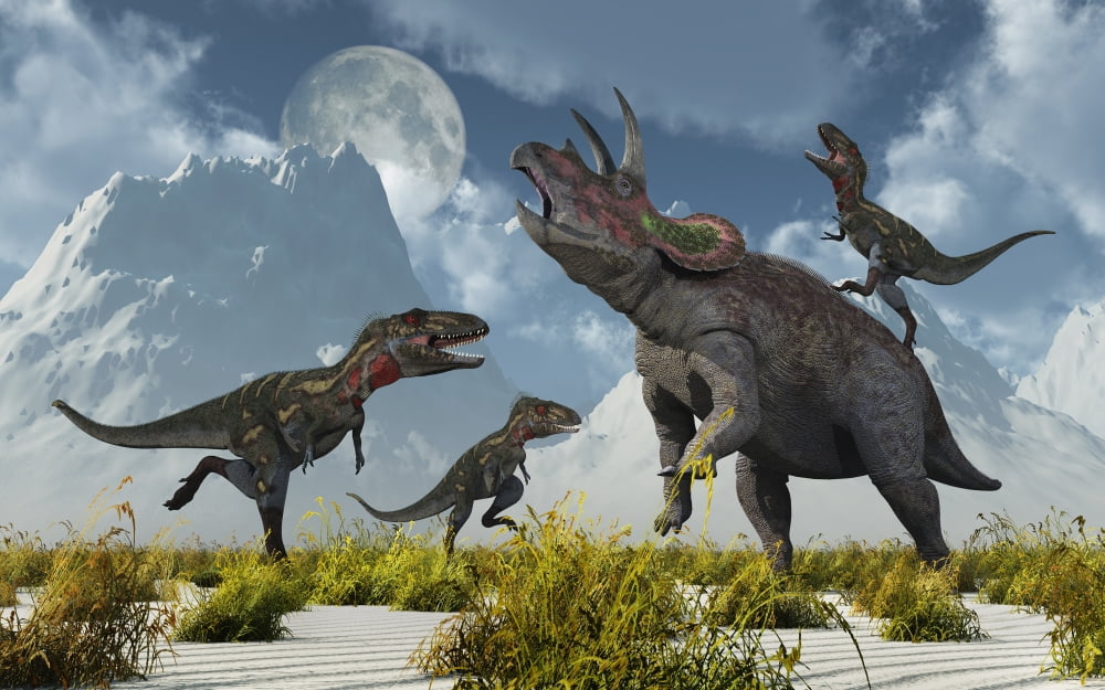 A pack of Nanotyrannus dinosaurs attacking a lone Triceratops Canvas Art - Mark StevensonStocktrek Images (36 x 23)