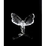 Open Box Waterford Crystal Figurines Butterfly, 3.75" | MIB