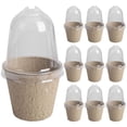 thumbnail image 4 of Taza para cultivo de plantas Ehuebsd suministros de jardinería 6cm sin agujeros 10 Uds, 4 of 7