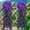 Blue, variant on Sltwyw Silk Hydrangea Hanging Flower Garland - 18-Head UV Resistant Fake Violet Decor for Balcony Wedding Arch Wall Display