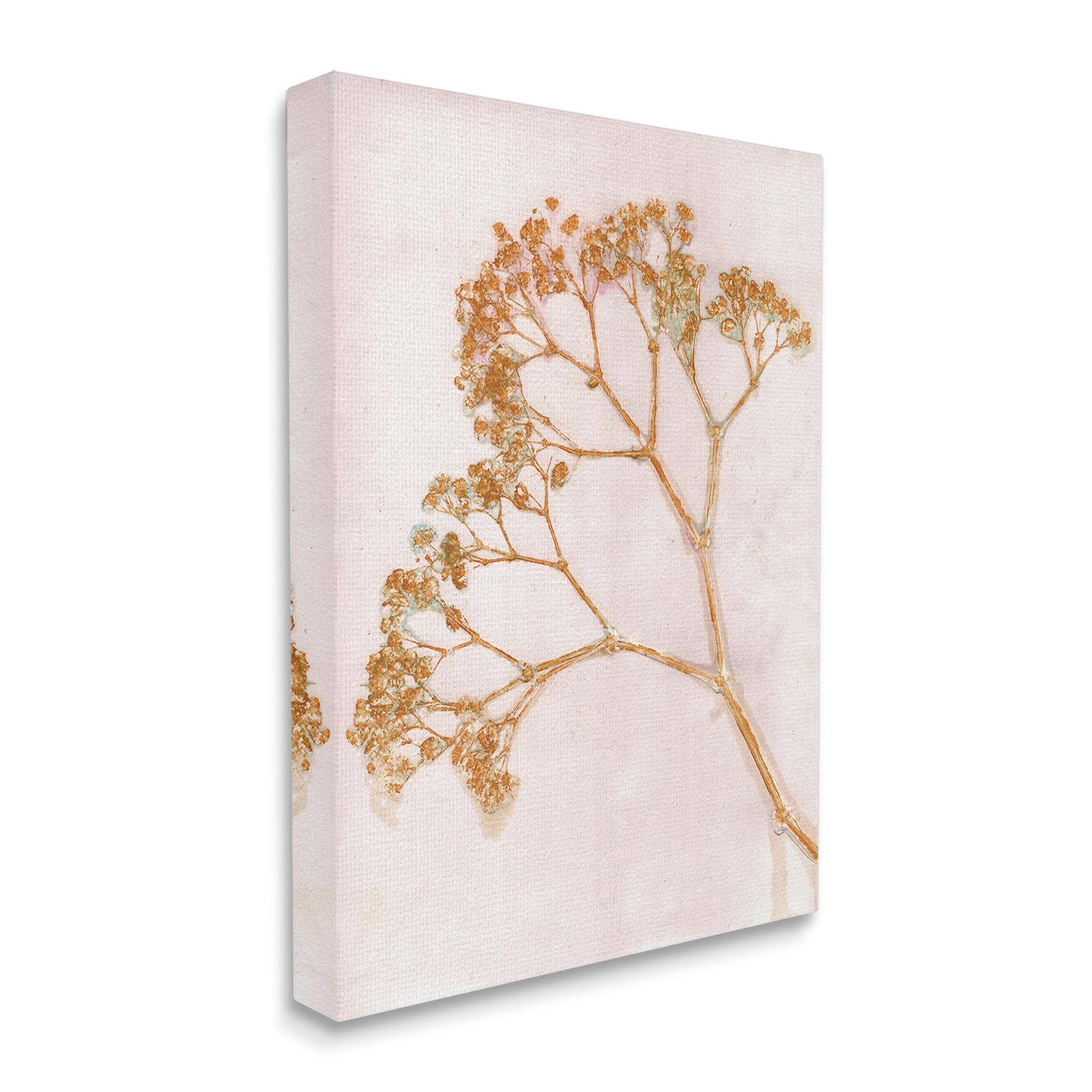 Stupell Industries Cottage Botanical Branches Botanical & Floral Painting Gallery Wrapped Canvas Art Print Wall Art, 16 x 20