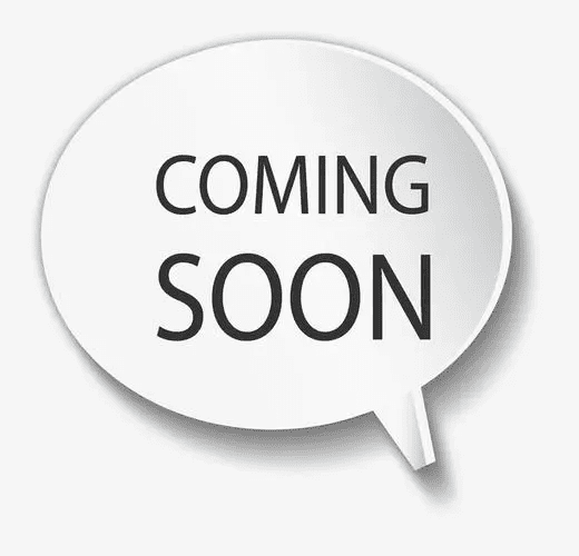 TinyTimes 48" x 16" Arched Top Full Length Hanging Mirror, Wall