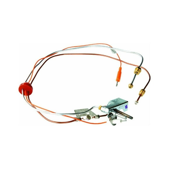 Conjunto piloto de gas LP Reliance 9003472 de calentador de agua