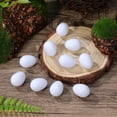 thumbnail image 4 of GETAJGHSD 10Pcs Realistic White Artificial Bird Eggs for Bird Breeding Use, 4 of 6