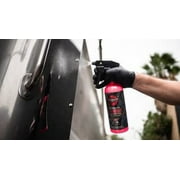 Renegade Products USA - EZ Red Sprayable Metal Polish & Cleaner for Chrome, Aluminum, and Stainless Steel | High-Gloss Shine & Protection | 24oz