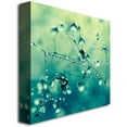 thumbnail image 2 of Trademark Fine Art Beata Czyzowska Young Spring Notes Canvas Wall Art - 18x18, 2 of 2