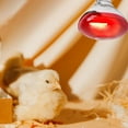 thumbnail image 4 of Dsscvnef Livestock Heat Lamp Farm Animal Warming Light for Piglets/Chicks/Lambs Brooder Bulb with Ceramic Socket (250W), 4 of 6