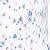 Blue/Floral