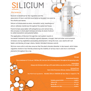 SiLicium Original - 250 ml Bottle by SiLicium