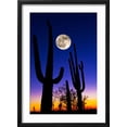 thumbnail image 2 of Art.com Moon over Saguaro Cactus (Carnegiea Gigantea), Tucson, Pima County, Arizona, USA Photographic Print, Black Frame Wall Art, 17" x 23", 2 of 5