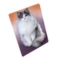 thumbnail image 1 of Persian Cat Blanket BLNKT51060, 1 of 3
