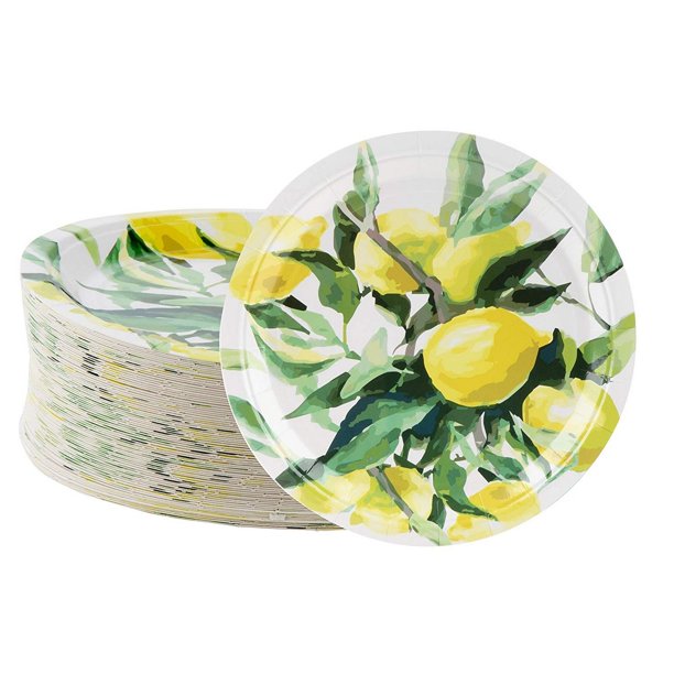 Download Disposable Plates 80 Count Paper Plates Lemon Party Supplies For Appetizer Lunch Dinner And Dessert Brunch And Garden Party 9 X 9 Inches Walmart Com Walmart Com
