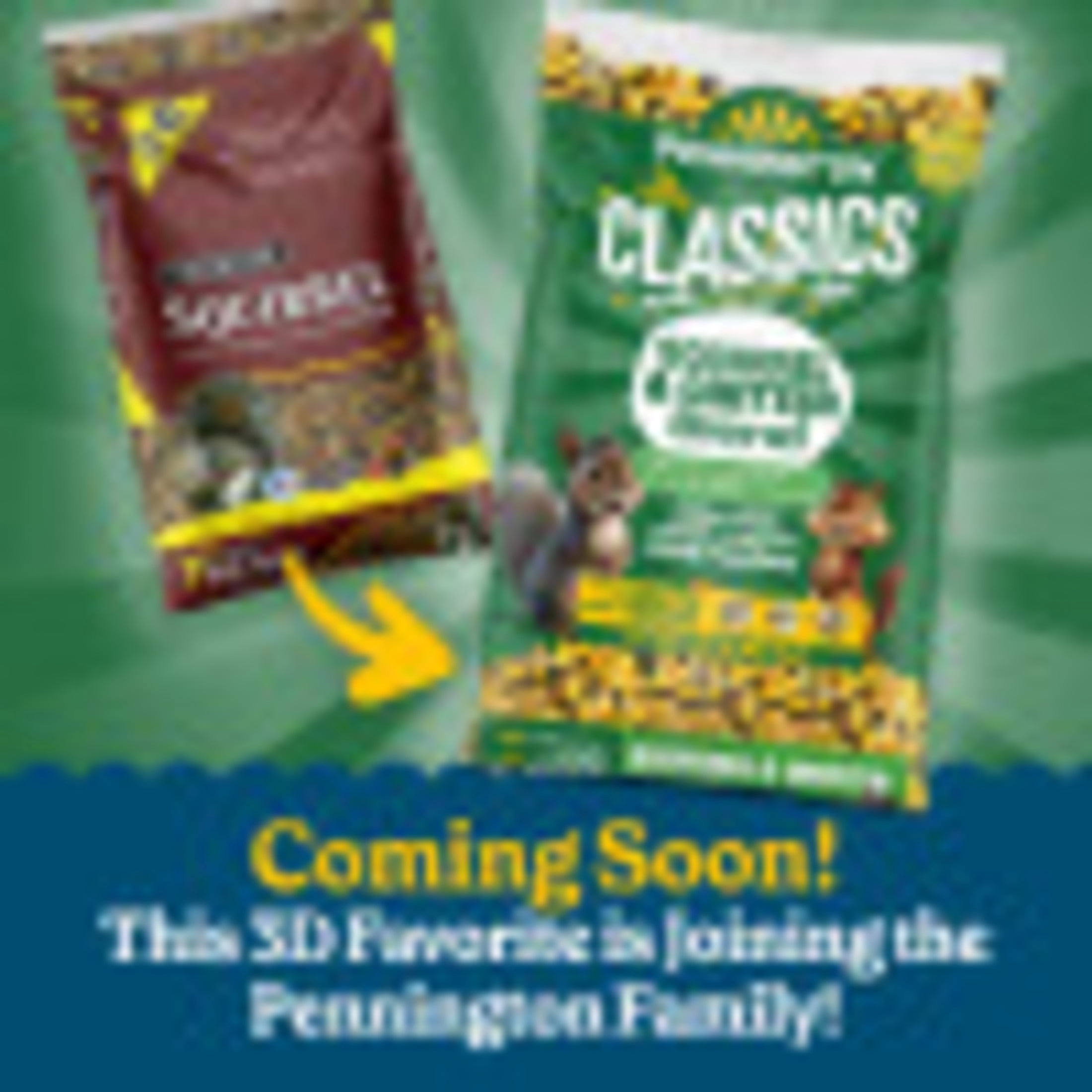 (4 pack) 3-D Pet Products Premium Squirrel and Wildlife Food, 20 lb., Dry, 1 Pack
