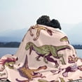 thumbnail image 5 of XMXT Flannel Throw Blanket for Couch, Warm Pink Cartoon Dinosaur Bed Sofa Decor Blankets for Home Bedroom, 60 x 50 inches, 5 of 8