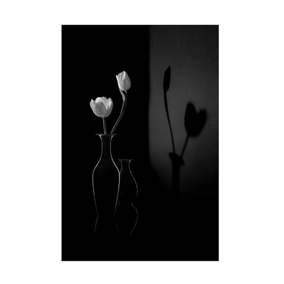 Trademark Fine Art Libby Zhang The Shadow of Spring Canvas Wall Art