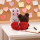 thumbnail image 4 of Juguetes De Peluche Cortos Lindo Llavero De Peluche Con Forma De Oso Y Corazones "Love" Para Mochila O Coche (2 Unidades) Rkxzt, 4 of 6