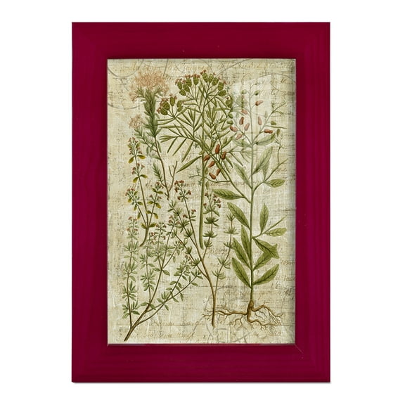 Garden Verses I -Framed Print w/glass-Cherry Red
