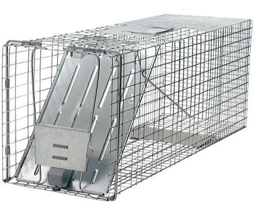 Havahart 1079 Large 1 Door Humane Animal Trap for Raccoons Cats Groundhogs for sale online 