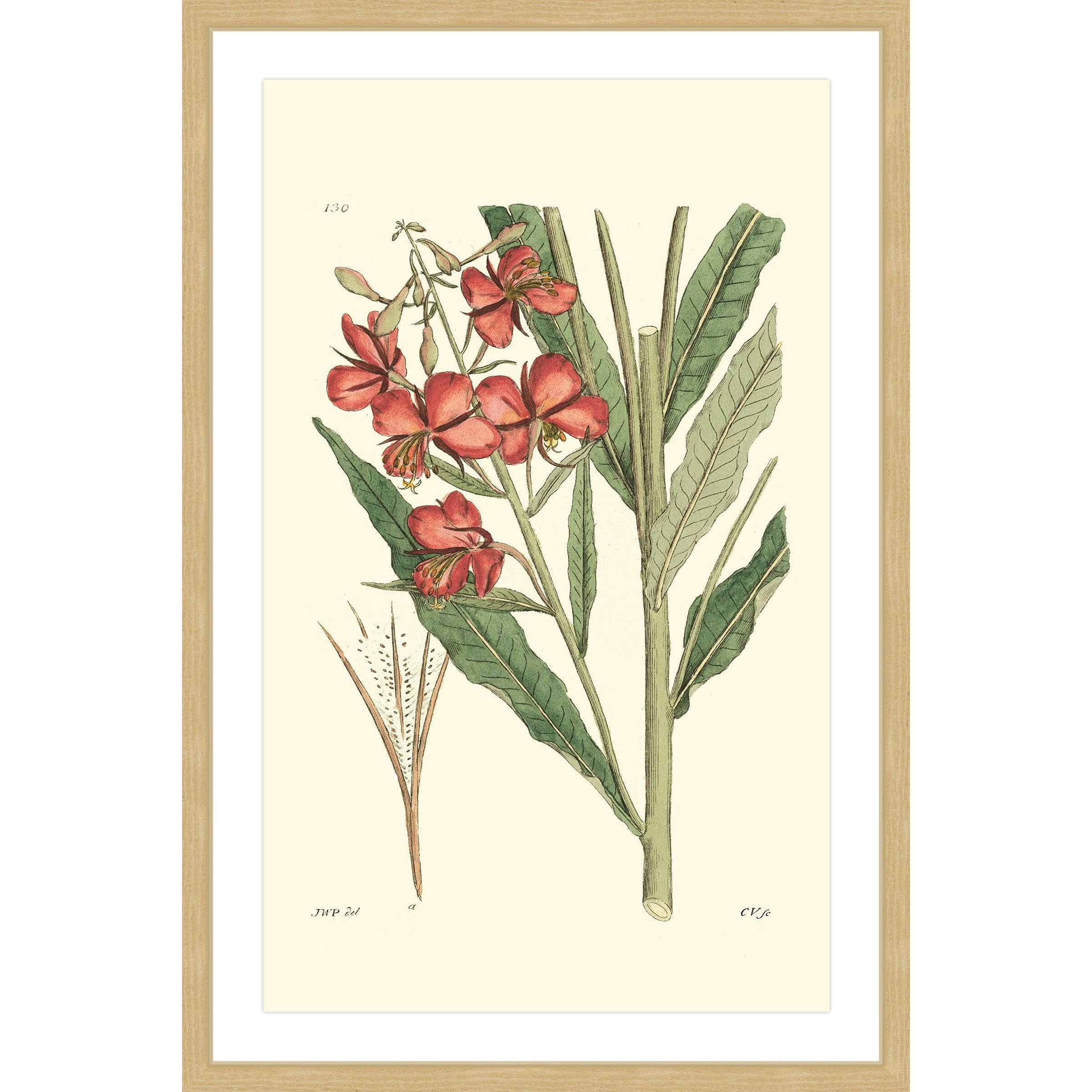 "Antique Floral III" Framed Painting Print