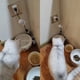 thumbnail image 4 of Dispensador de Agua Inteligente para Gatos con USB, Filtro de Flujo, Inducción, Circulación Automática, Bomba Sumergible., 4 of 6