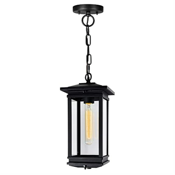 CWI Lighting Oakwood 1 Light Glass Outdoor Hanging Lantern Pendant in Black