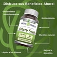 thumbnail image 2 of Amazing Formulas Celery Seed 1500 mg 120 cápsulas vegetales suplemento con semilla de apio para bienestar digestivo y rutina diaria, 2 of 5