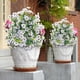 thumbnail image 4 of Decoración de pinza de flor artificial Blanco, 4 of 6