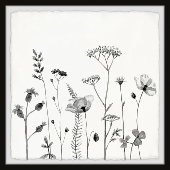 Parvez Taj All About Poppies Framed Painting Print