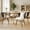 Black, variant on Daluvenix Rattan Dining Chairs Set of 4 Accent Chairs with Rattan Backrest & Teddy Fleece Fabric Cushion Black