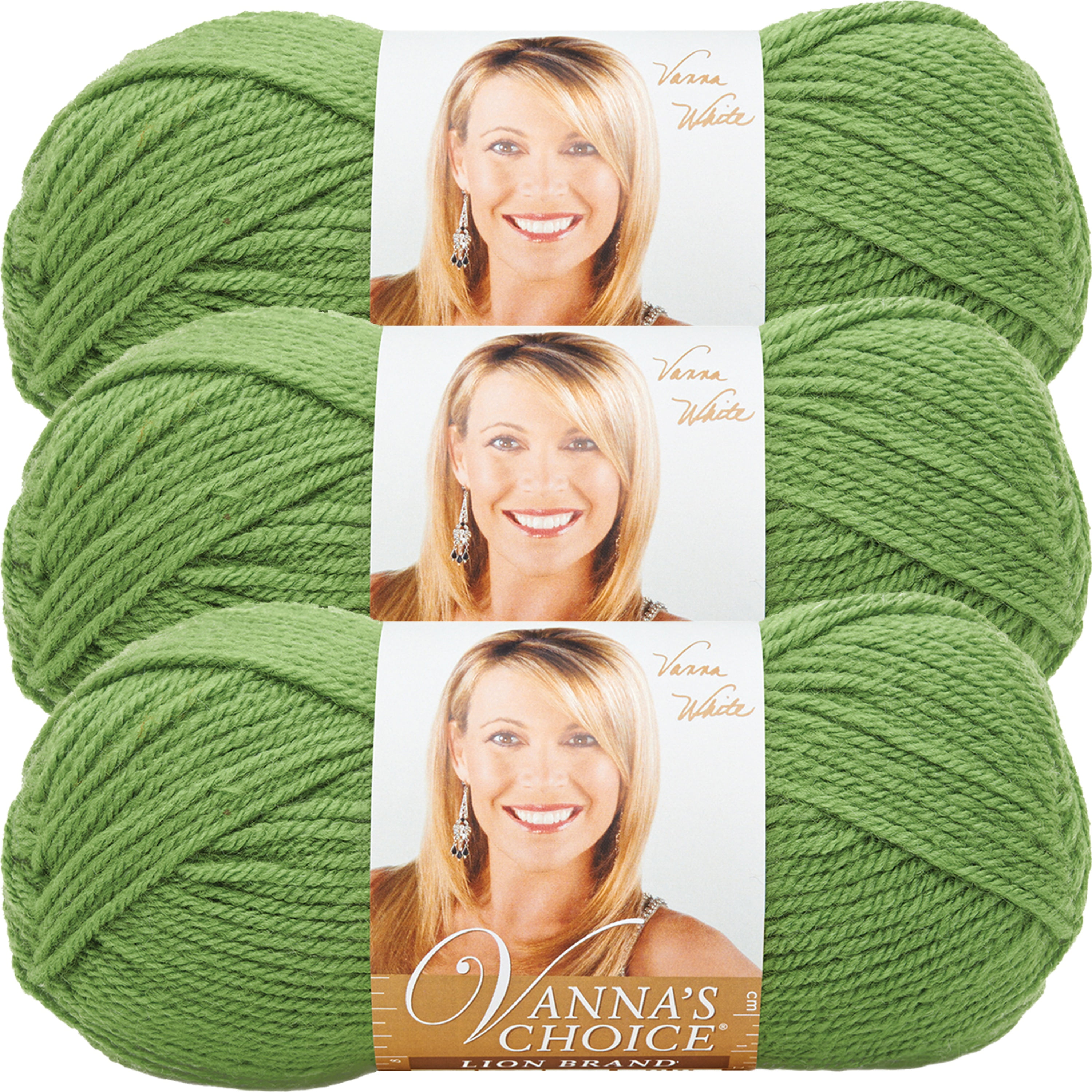 Lion Brand Vanna's Choice YarnFern, Multipack Of 3