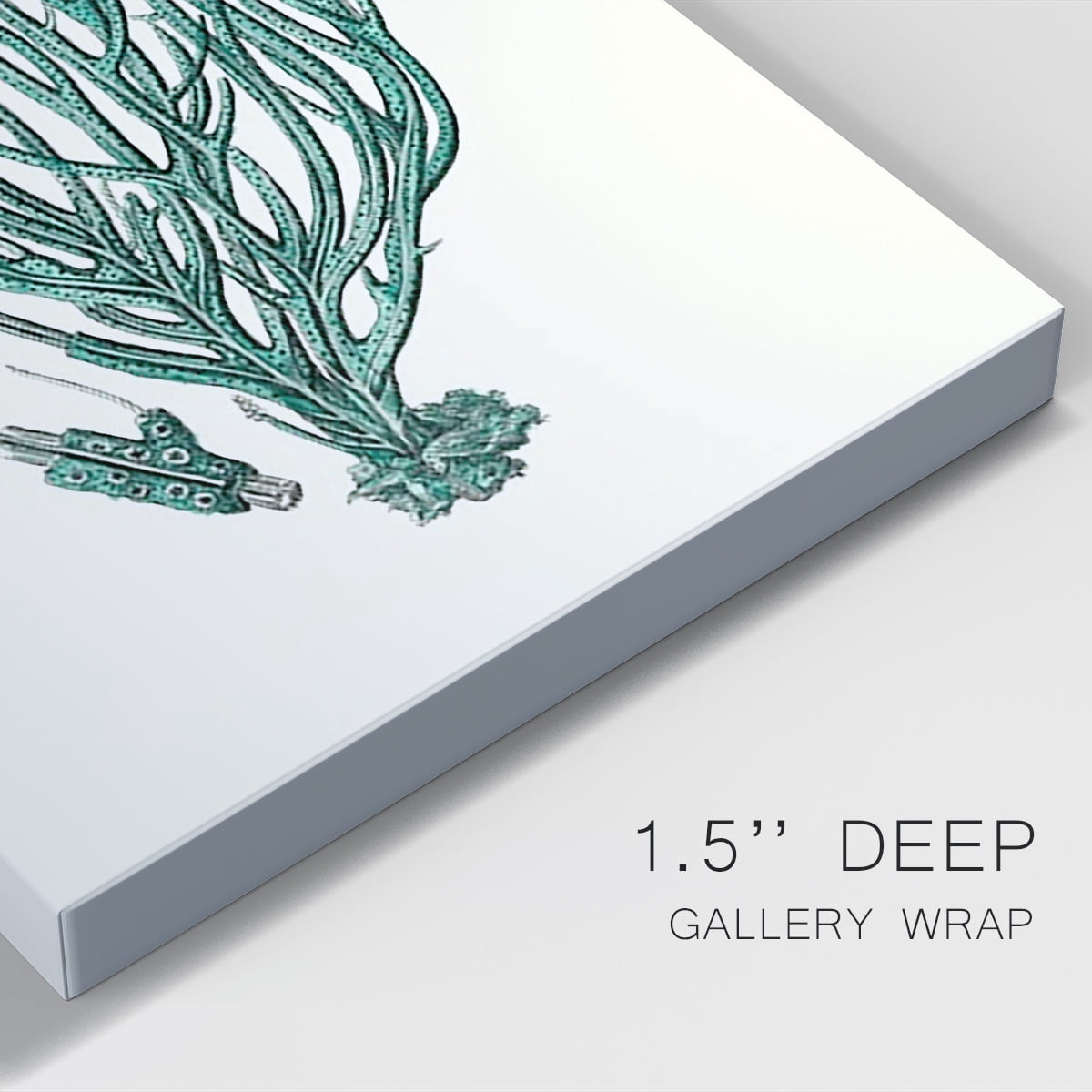 Antique Coastal Coral VIII Premium Gallery Wrapped Canvas - Ready to Hang