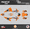 Orange, variant on Kalair GFX Graphics Kit for KTM Enduro 4-Stroke 250 XC-F, 350 XC-F and 450 XC-F (2019-2022) Predator Series