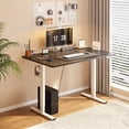 thumbnail image 5 of FunniHomi 48" x 30" Electric Height Adjustable Standing Desk with Hooks, Whole-Piece Desktop Cable Management Tray, and Built-in Power Outlet, Ergonomic Sit-Stand Desk for Home Office(2 Packages), 5 of 10