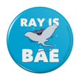 thumbnail image 1 of Ray is Bae Funny Humor Pinback Button Pin, 1 of 5